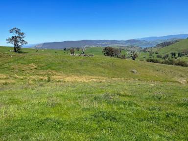 Farm For Sale - VIC - Jarvis Creek - 3700 - "If you have a plan then we have the block"  (Image 2)