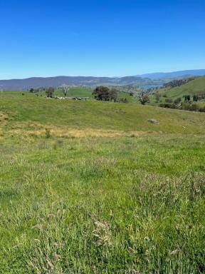 Farm For Sale - VIC - Jarvis Creek - 3700 - "If you have a plan then we have the block"  (Image 2)
