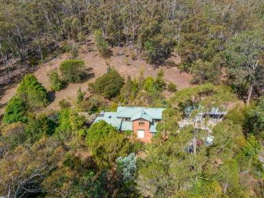Farm For Sale - NSW - Bega - 2550 - CHARACTER-FILLED BUSH RETREAT WITH 4-BEDROOM HOME  (Image 2)