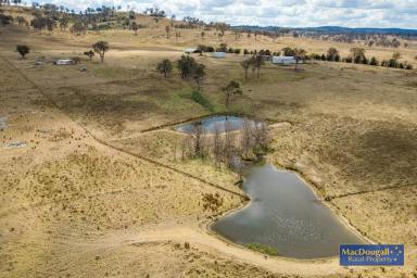 Farm Sold - NSW - Armidale - 2350 - A naturally productive eastern fall property  (Image 2)