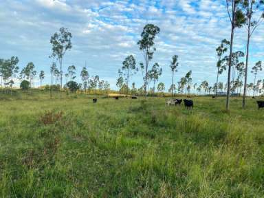 Farm For Sale - QLD - Kingaroy - 4610 - PRICE REDUCTION = BARGAIN Superb location and secure water supply!  (Image 2)