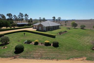 Farm Sold - NSW - Merriwa - 2329 - Rural Lifestyle with Abundant Water!  (Image 2)