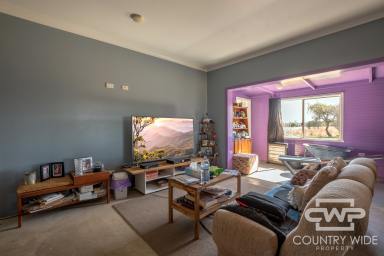 Farm Sold - NSW - Dundee - 2370 - Afforable Home on an Acre  (Image 2)
