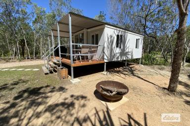 Farm Sold - QLD - East Feluga - 4854 - Chill out time  (Image 2)