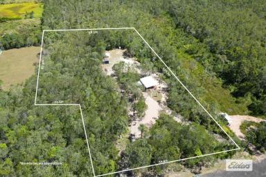Farm Sold - QLD - East Feluga - 4854 - Chill out time  (Image 2)