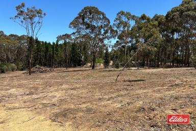 Farm For Sale - SA - Williamstown - 5351 - WANT SOME SPACE - 2.56 (APPROX) ACRE TITLED ALLOTMENT  (Image 2)