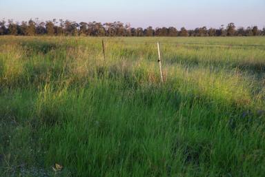 Farm For Sale - QLD - Ducklo - 4405 - Proven Performer with Position  (Image 2)