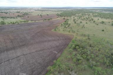 Farm For Sale - QLD - Bell - 4408 - BELMONT AGGREGATION, BELL QLD 1527.59 Ha | 3,775 Acres in 18 freehold lots
Farming – Grazing, 3,714 SPU Piggery, Feedlot Potential  (Image 2)