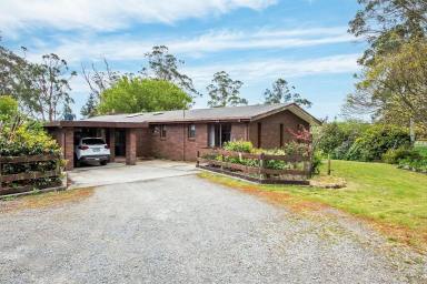 Farm Sold - TAS - Smithton - 7330 - Creek Boundary! Just Out of Town 
4 Bedroom Brick Home.  (Image 2)