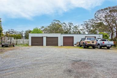 Farm Sold - TAS - Smithton - 7330 - Creek Boundary! Just Out of Town 
4 Bedroom Brick Home.  (Image 2)