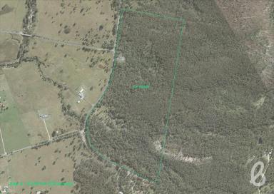 Farm Sold - NSW - Singleton - 2330 - SITE 4 | MITCHELLS FLAT LAND RELEASE | 131 ACRES  (Image 2)