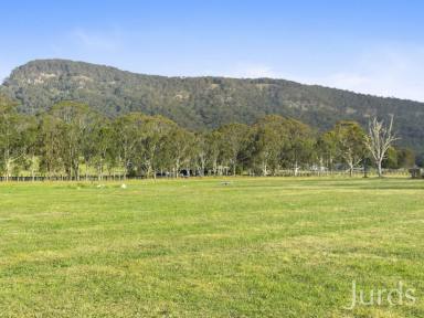 Farm For Sale - NSW - Quorrobolong - 2325 - A PERFECT PALETTE  (Image 2)