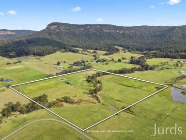 Farm For Sale - NSW - Quorrobolong - 2325 - A PERFECT PALETTE  (Image 2)