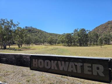 Farm For Sale - nsw - Giants Creek - 2328 - Cabin on 40 Acres  (Image 2)