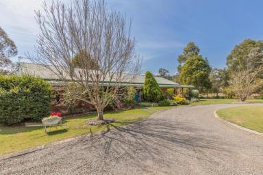 Farm Sold - NSW - Dungog - 2420 - 'Melrose'  (Image 2)