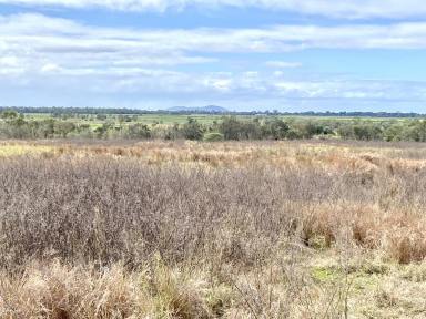 Farm For Sale - QLD - Mount Kelly - 4807 - 49.42 Acre - Cropping Property at Mt Kelly with Irrigation  (Image 2)