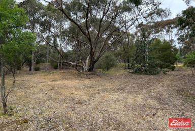 Farm For Sale - SA - Williamstown - 5351 - UNDER CONTRACT BY JEFF LIND  (Image 2)