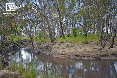 Farm Sold - VIC - Kialla West - 3631 - 30.37ha (75 Acre) Dream Renovation Project Close to Shepparton - Frontage to Seven Creeks – A Canvas Awaiting Your Vision  (Image 2)