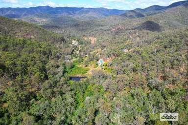 Farm For Sale - QLD - Widgee - 4570 - PRICE REDUCTION ON THIS ONE OF A KIND 303 acre PROPERTY!  (Image 2)