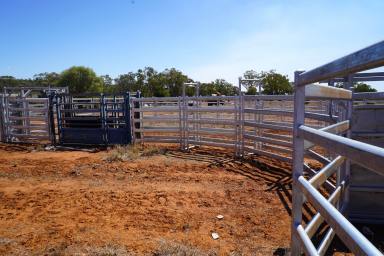 Farm Auction - QLD - Mitchell - 4465 - Destocked, Spelled, Ready To Go!  (Image 2)