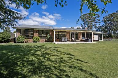 Farm Sold - TAS - Wynyard - 7325 - Close to Town With Subdivision Potential  (Image 2)