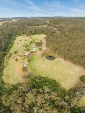 Farm Sold - NSW - Tanja - 2550 - SECLUDED GEM ON ROBERTS ROAD, TANJA  (Image 2)