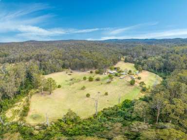 Farm Sold - NSW - Tanja - 2550 - SECLUDED GEM ON ROBERTS ROAD, TANJA  (Image 2)