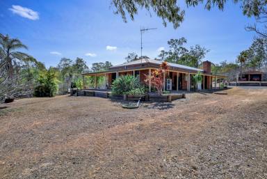 Farm Sold - QLD - Damascus - 4671 - 3 bedrooms and 2 bathrooms home on 41.36ha  (Image 2)