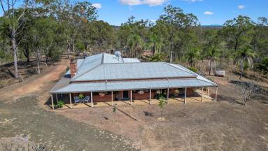 Farm Sold - QLD - Damascus - 4671 - 3 bedrooms and 2 bathrooms home on 41.36ha  (Image 2)