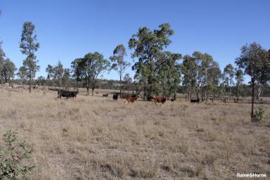 Farm For Sale - QLD - Gordonbrook - 4610 - Modern Brick Home on 508 Acres with Great Water..  (Image 2)