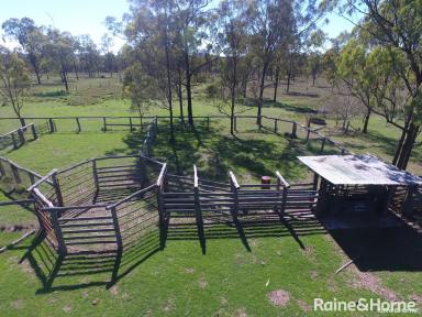 Farm For Sale - QLD - Kingaroy - 4610 - Modern Brick Home on 508 Acres with Great Water..  (Image 2)