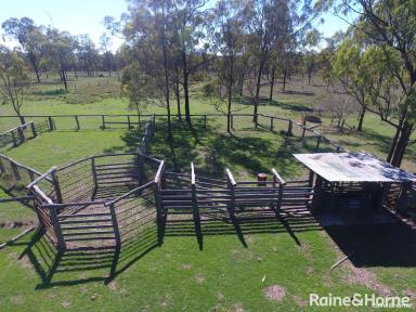 Farm For Sale - QLD - Gordonbrook - 4610 - Modern Brick Home on 508 Acres with Great Water..  (Image 2)