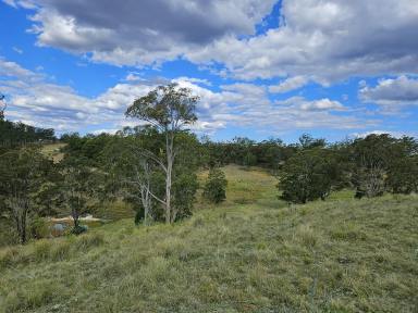 Farm Sold - QLD - Crows Nest - 4355 - 73 acres boasting 360 degree views.  (Image 2)