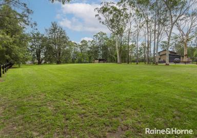 Farm For Sale - NSW - Bangalee - 2541 - Prime Vacant Land in Beautiful Bangalee  (Image 2)