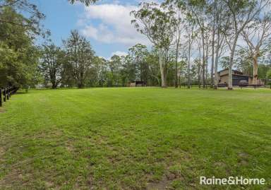 Farm For Sale - NSW - Bangalee - 2541 - 1-Acre Vacant Land Ready for Your Dream Home in Bangalee  (Image 2)