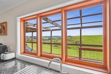 Farm For Sale - NSW - Orange - 2800 - Magnificent Family home, set on 100 picturesque acres!  (Image 2)