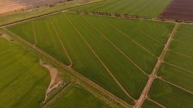 Farm Sold - NSW - Kooba - 2680 - Prime Irrigation minutes to Griffith CBD  (Image 2)