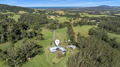 Farm For Sale - NSW - Berry - 2535 - Pines on Tullouch  (Image 2)