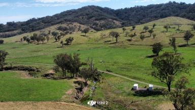 Farm For Sale - NSW - Loomberah - 2340 - Price Reduced Owner on The Move  (Image 2)