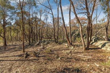 Farm For Sale - VIC - Axe Creek - 3551 - Private & Tranquil  (Image 2)