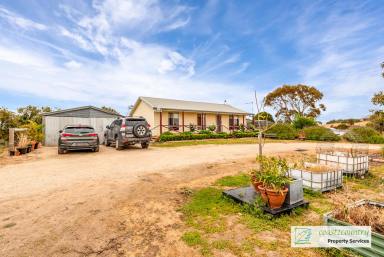 Farm Sold - SA - Meningie - 5264 - House, Huge Shed And Acres!!  (Image 2)