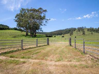 Farm Sold - NSW - Rosebrook - 2320 - SOLD  (Image 2)