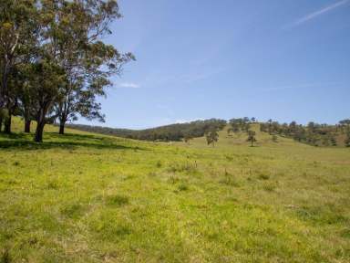 Farm Sold - NSW - Rosebrook - 2320 - SOLD  (Image 2)