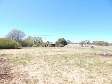 Farm Sold - NSW - Nimmitabel - 2631 - Excellent Village Block ½ Acre – 2020m2  (Image 2)