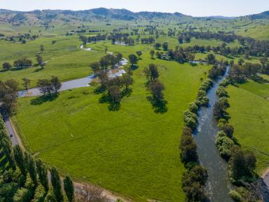 Farm For Sale - NSW - Brungle - 2722 - High Rainfall Grazing Scale with Exclusive Tumut River Flats  (Image 2)