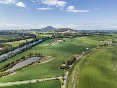 Farm For Sale - NSW - Bolong - 2540 - 'Loch Haven'  (Image 2)