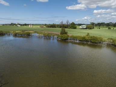 Farm For Sale - NSW - Bolong - 2540 - 'Loch Haven'  (Image 2)