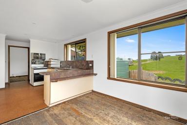 Farm Sold - TAS - Upper Stowport - 7321 - A place to prance at Glance  (Image 2)