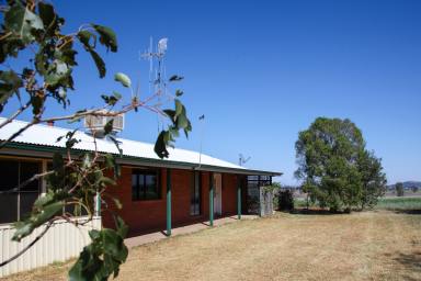 Farm Sold - NSW - Maryvale - 2820 - 'Combo Farm' - 287 Acres + Full Brick Home  (Image 2)