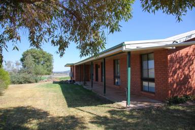 Farm Sold - NSW - Maryvale - 2820 - 'Combo Farm' - 287 Acres + Full Brick Home  (Image 2)